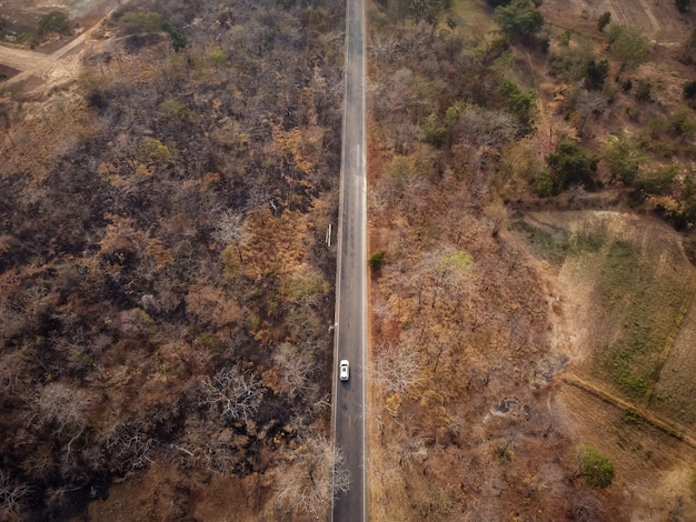 Aerial view of road through forest