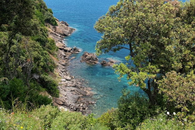 Aerial view of a rocky shore with a park in Elba Italy