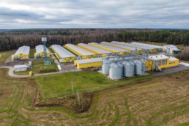 Veduta aerea di filari di aziende agricole con silos e complesso zootecnico agroindustriale