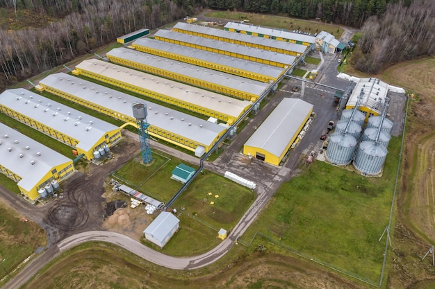 Veduta aerea di filari di aziende agricole con silos e complesso zootecnico agroindustriale