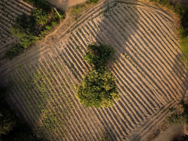 Photo aerial view of rural farmland