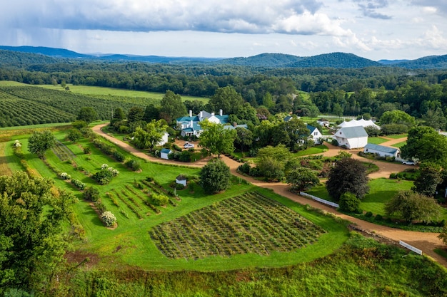 Aerial view of rural ranch with planted field near to a dense forest in bright sunlight