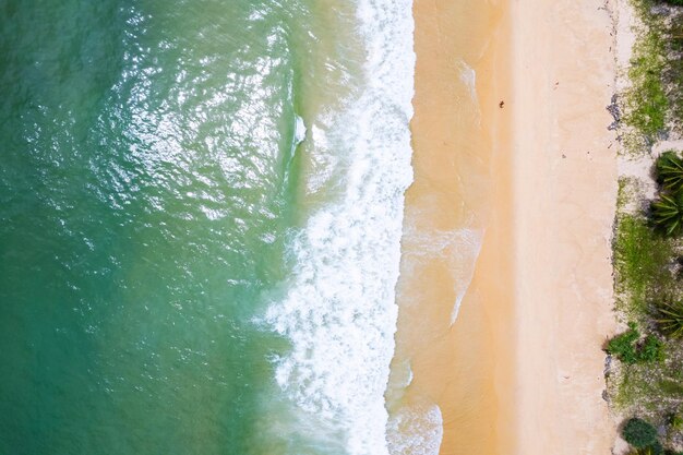 Aerial view sandy beach and waves beautiful tropical sea in the\
morning summer season image by aerial view drone shot high angle\
view top down sea waves