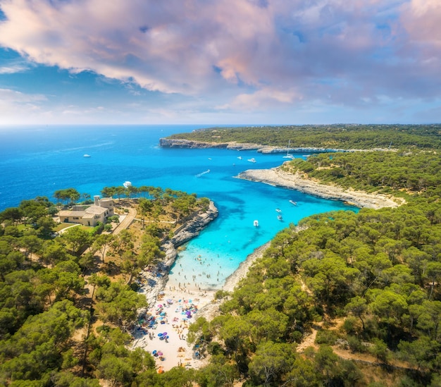 Aerial view of sandy beach with colorful umbrellas green forest