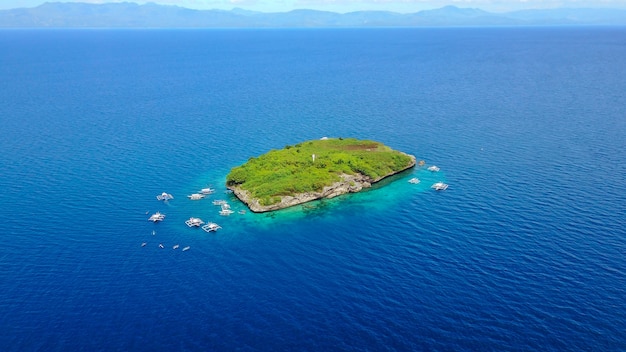 Veduta aerea della spiaggia sabbiosa con i turisti che nuotano in bella acqua cristallina della spiaggia dell'isola di sumilon che atterra vicino a oslob, cebu, filippine. - aumentare la lavorazione del colore.