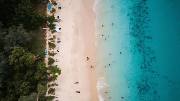 Aerial view of sandy beach with tourists swimming