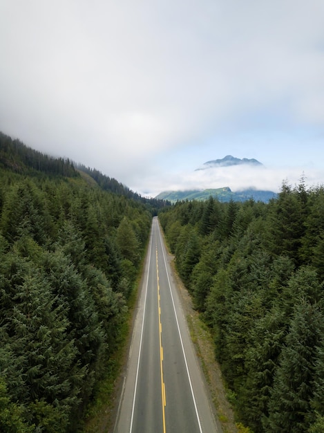 カナダの風景の中の風光明媚な道路の航空写真