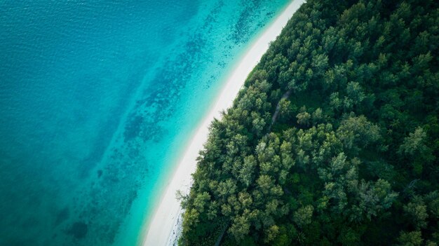 Aerial view of sea