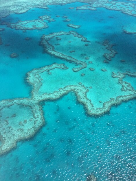 Aerial view of sea