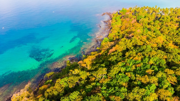 Aerial view of sea