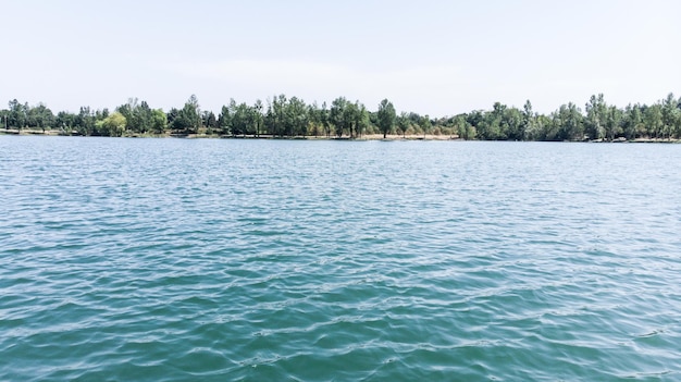 Aerial view of the shore from a lake