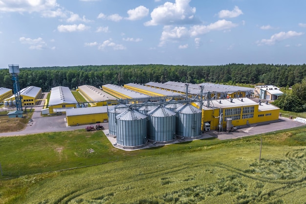 Vista aerea su silos e complesso zootecnico agroindustriale su impianto di trasformazione e produzione agroalimentare con moderno granaio elevatore di pollame file di pollaio