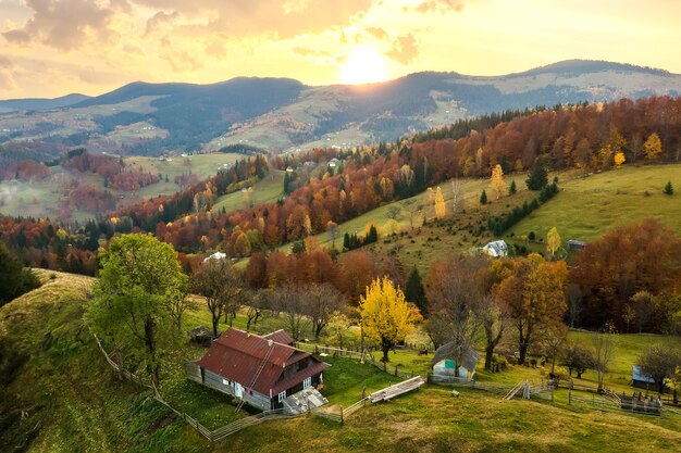 Aerial view of small shepherd houses on wide meadow between autumn forest in Ukrainian Carpathian mountains at sunset.