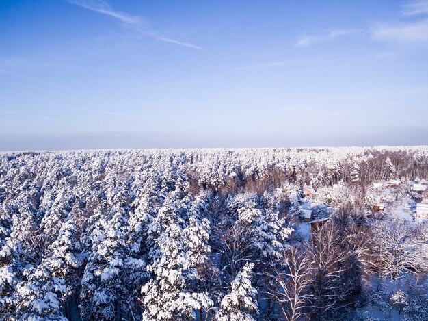 Aerial view on snow winter forest and village Blue sky on background Roofs are under the snow