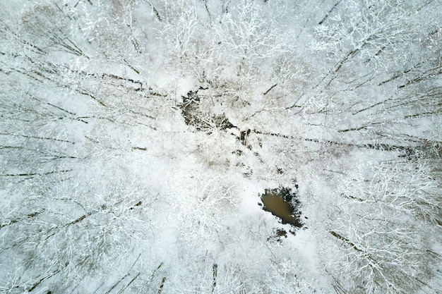 Вид с воздуха на заснеженный лес