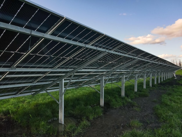 Aerial view of solar power plant solar panels electric panels\
for producing clean ecologic energy