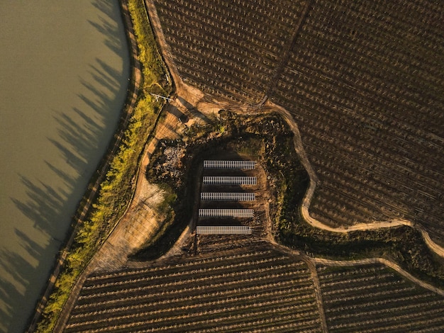 ブドウ園の太陽光発電所ソーラー パネルの空撮 クリーンな生態エネルギーを生成するための電気パネル