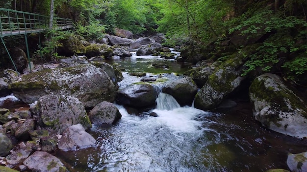 데빈(Devin) 마을 근처 로도프 산맥(Rhodope Mountains) 숲 속 개울의 공중 전망