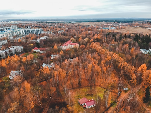 Аэрофотоснимок загородного жилья в осеннем лесу. Санкт-Петербург, Россия.