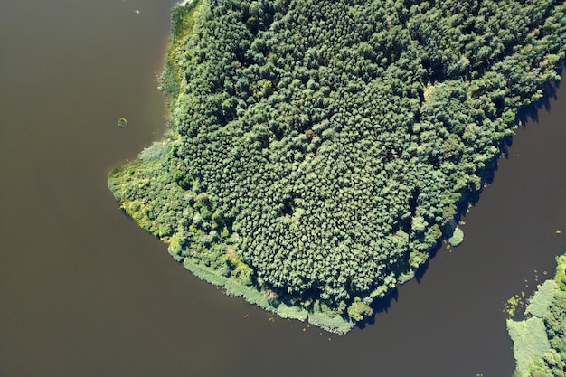 Aerial view of summer landscape with river and green forest