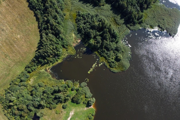 Aerial view of summer landscape with river and green forest