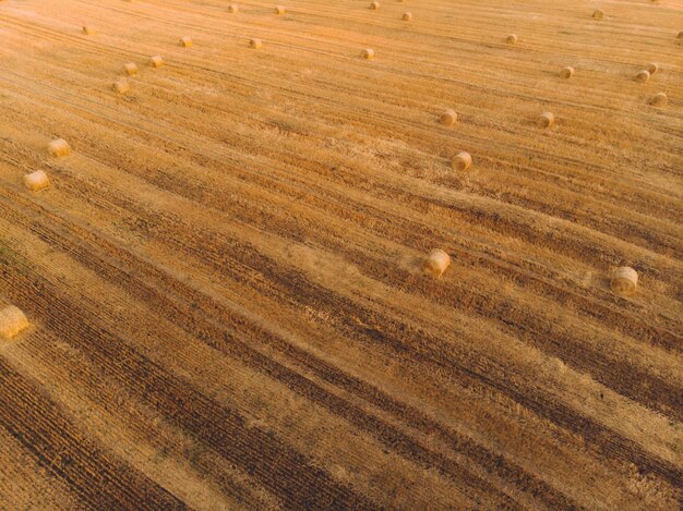 Aerial view sunset field harvest autumn time