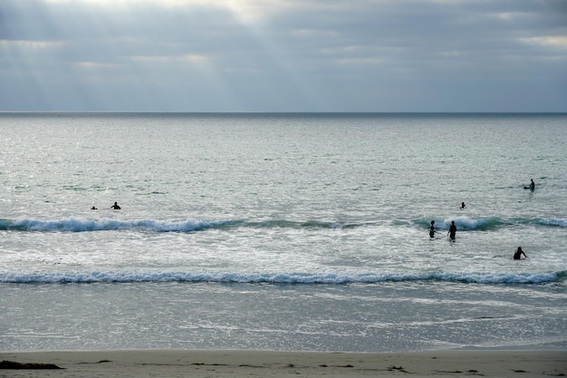 Aerial view of surfers on their board waiting the waves during sunset