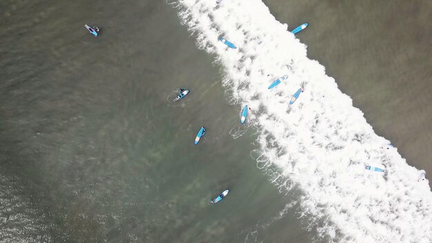 An aerial view of surfers waiting for a wave in the ocean on a clear day aerial view of surfer on