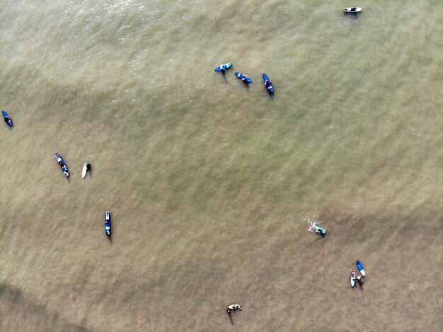 Aerial view of surfers waiting the waves in the dark brown water