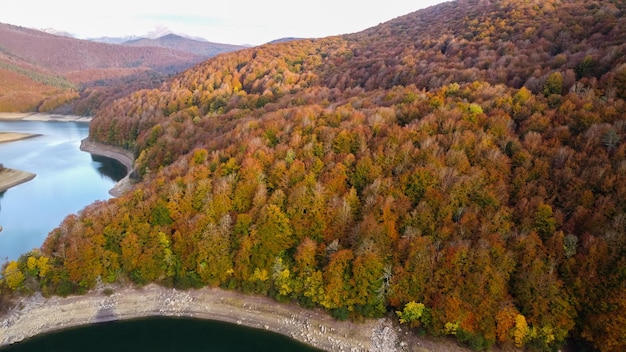 Aerial view of swamp with Autumn forest around in different colors