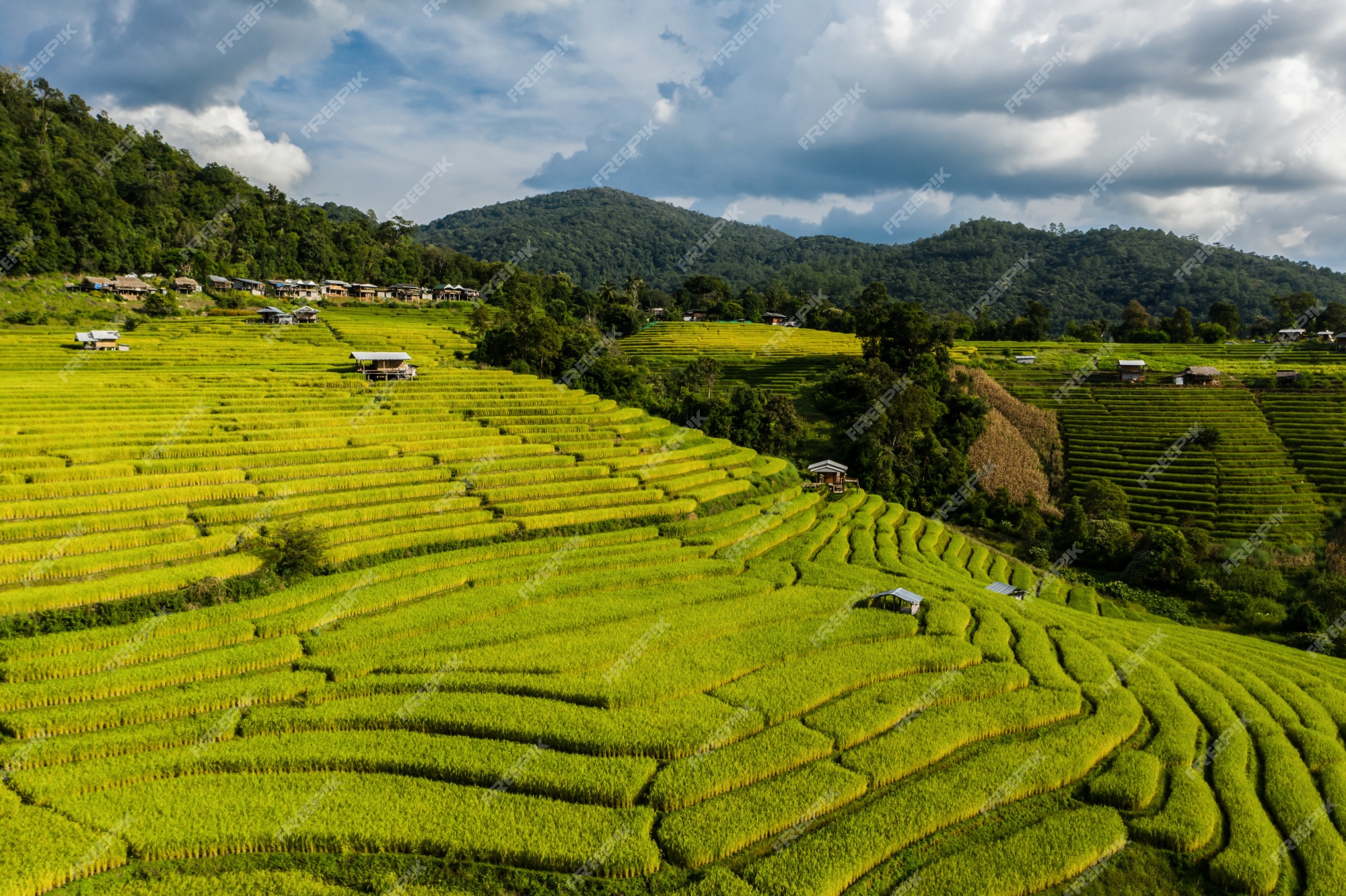 Terrace farming steep hi-res stock photography and images - Alamy