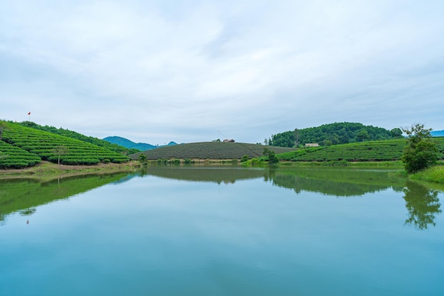 タンチョン島 (Thanh Chuong Island) の空から見た緑の景色 背景は緑の葉 タンチォン・ンゲ (Thanch Chuong Nghe) ベトナム