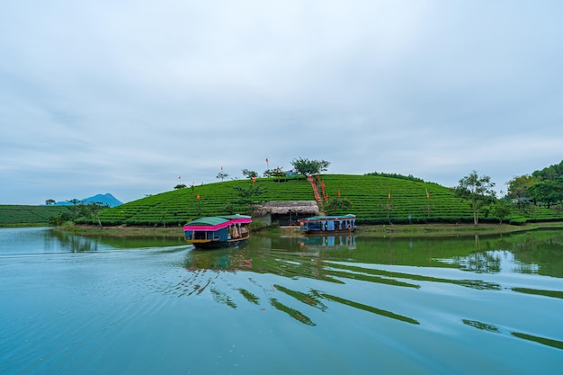 Aerial view of Thanh Chuong island tea hill green landscape background green leaf Thanh Chuong Nghe An Viet Nam
