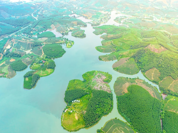 Foto vista aerea dell'isola di thanh chuong, collina del tè, paesaggio verde sullo sfondo, foglia verde, thanh chun nghe, vietnam