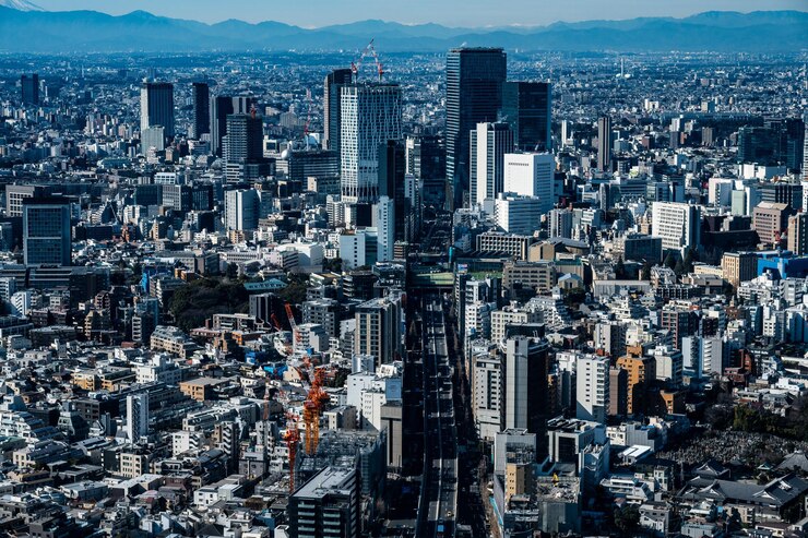Photo 東京の都市風景を空から眺める