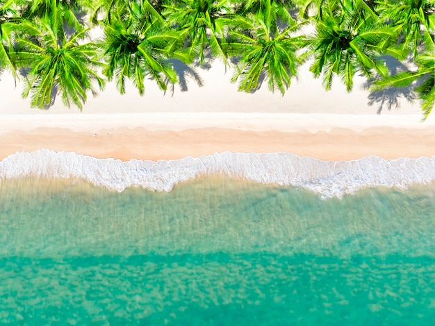 Vista aerea vista dall'alto bella spiaggia d'attualità con palme da cocco di sabbia bianca e mare. vista dall'alto spiaggia vuota e pulita.