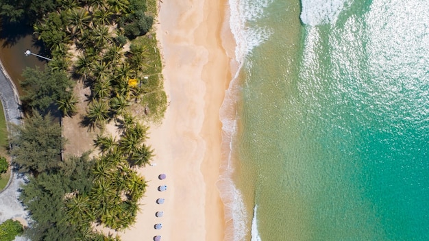 아름다운 카론(Karon) 해변 푸켓 태국(Phuket Thailand)에 있는 코코넛 야자수의 공중 전망 안다만 해(Andaman Sea)의 놀라운 바다 해변 모래 관광 여행 목적지 아름다운 푸켓 섬 여행 및 투어 개념