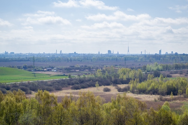 Вид с воздуха на вершины деревьев и город на заднем плане