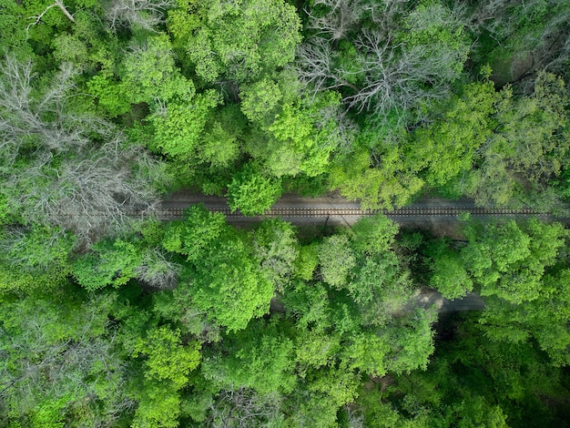 Photo aerial view of a train railroad in the green forest