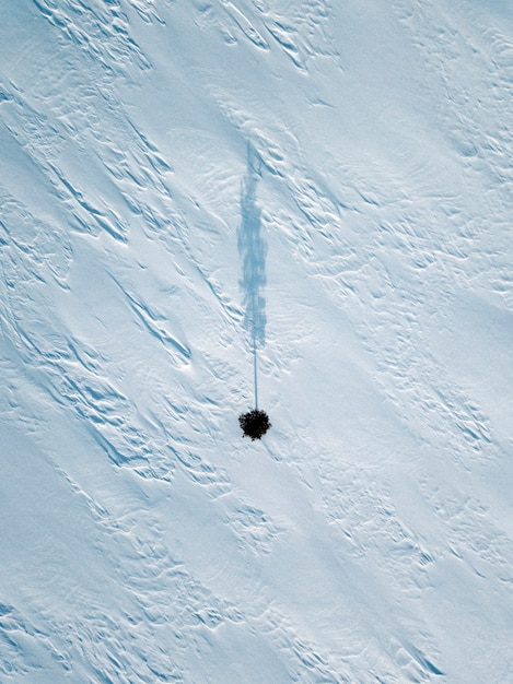 Aerial view of a tree on a snow-covered ground