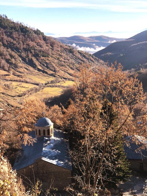 Aerial view of trees and buildings against sky