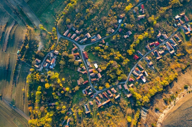 Photo aerial view of trees and buildings in town