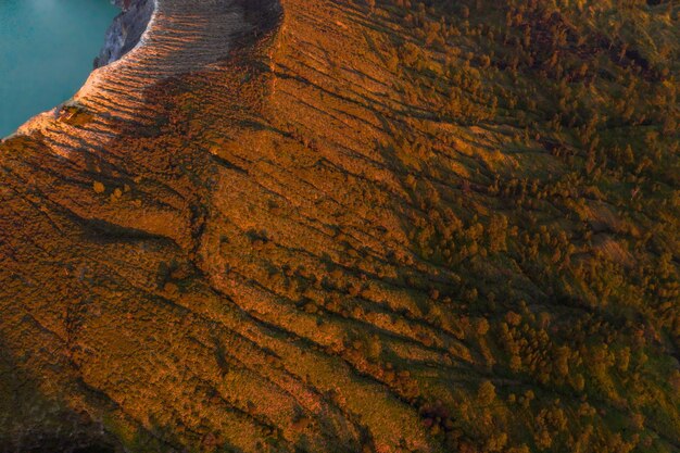 Aerial view of trees on landscape