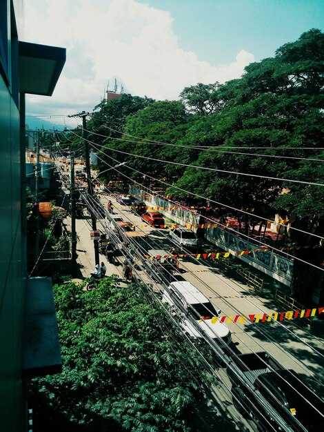 Aerial view of trees