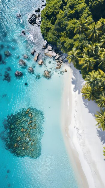 Aerial View of Tropical Beach and Lagoon