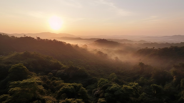 Aerial view of a tropical forest with a sunrise in the background