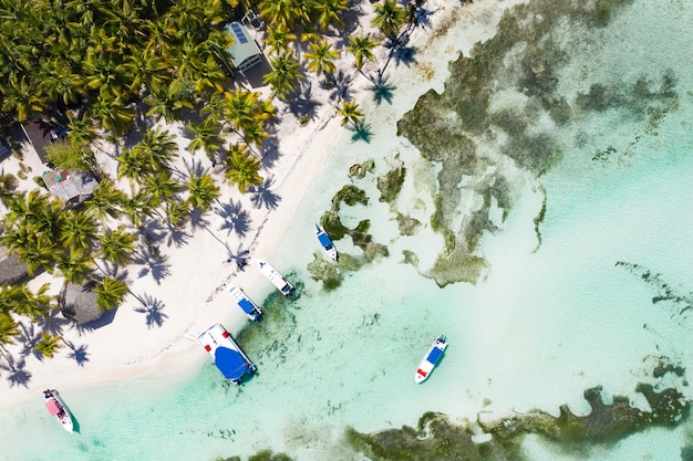 Aerial view of a tropical island with palm trees