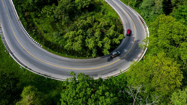 Vista aerea sopra la foresta tropicale dell'albero con una strada che passa con l'automobile, forest road.