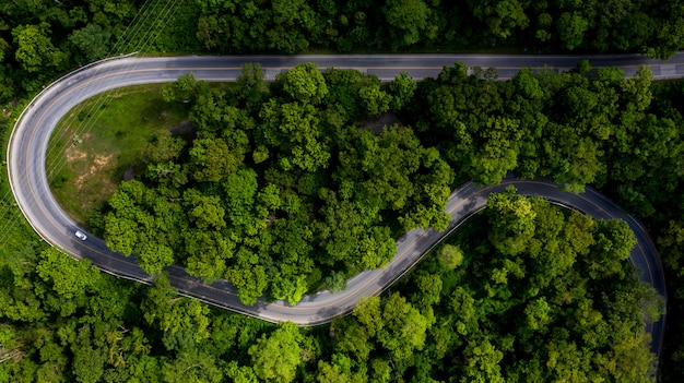 車、林道を通って行く道と熱帯の木の森の空撮。