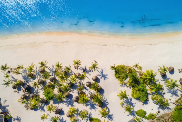 Вид с воздуха на зонтики, пальмы на песчаном пляже Индийского океана в яркий солнечный день. Летний отдых в Африке. Тропический пейзаж с зелеными пальмами, зонтиками, лодками, яхтами, голубой водой. Вид сверху